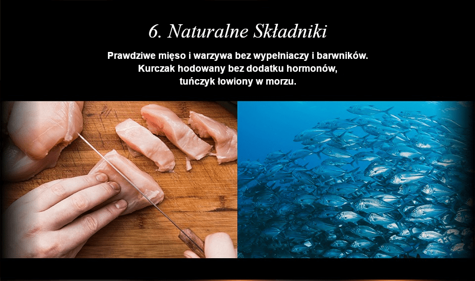 Chérie Healthy Living Diet Chicken & pumpkin mousse 80g.