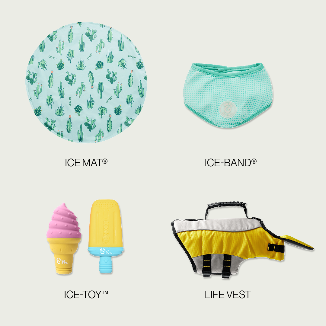 Quality Beach Cooling Set | by GF Pet of Canada | Small Dog