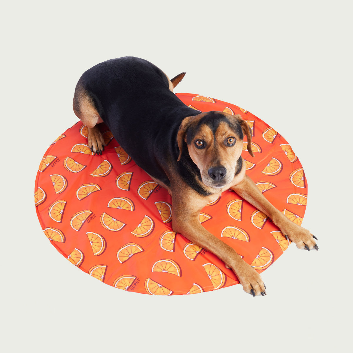 GF Pet Ice Cooling Mat | No Ice, No Refrigeration