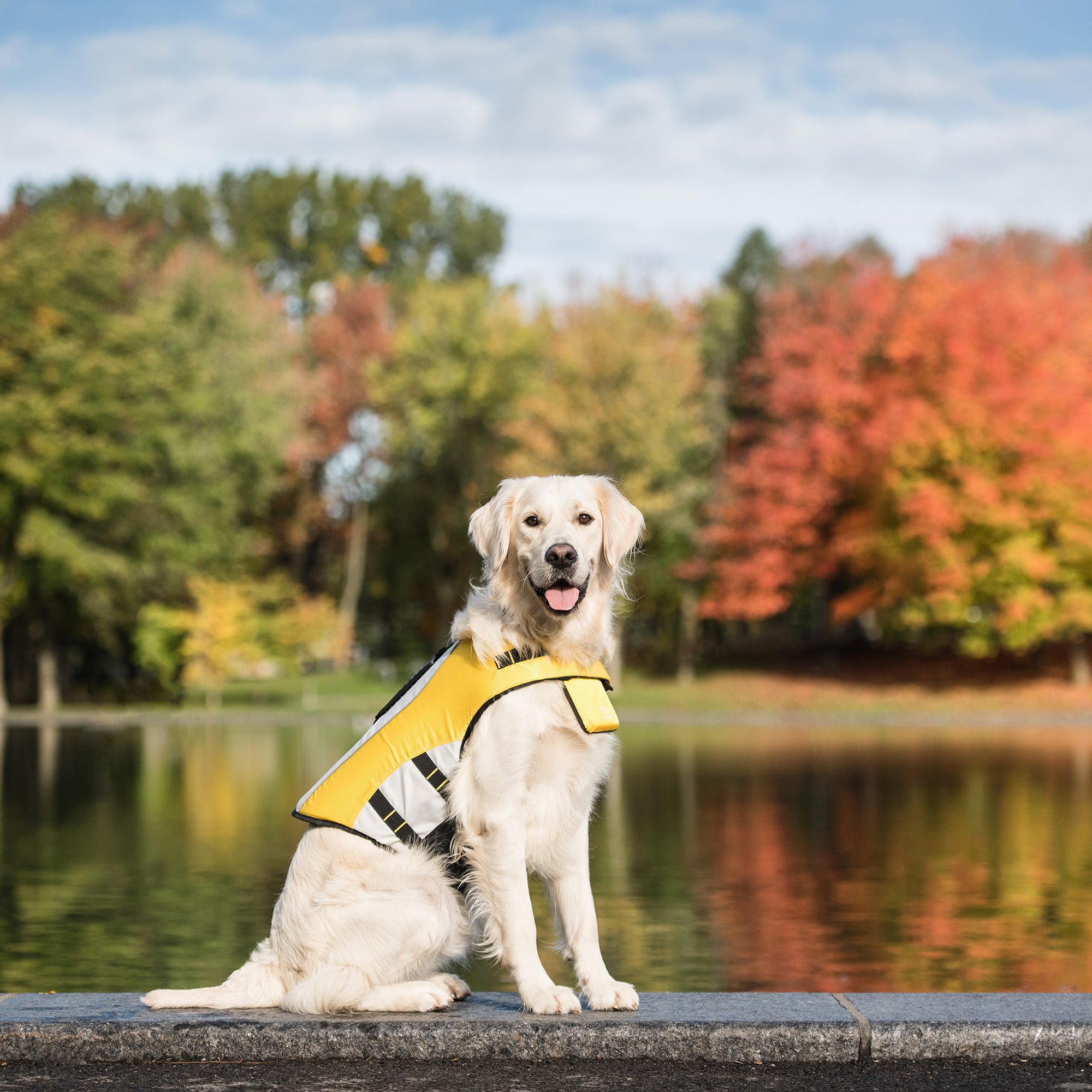 Life Vest® For Dog Yellow | by GF Pet of Canada | Swim Safe